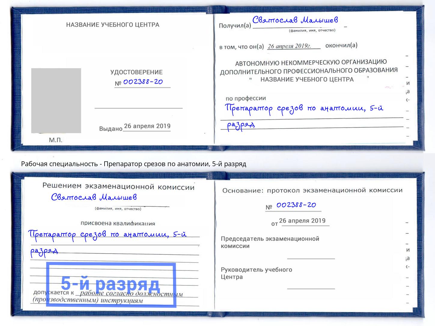 корочка 5-й разряд Препаратор срезов по анатомии Ачинск